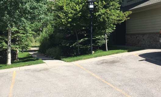Image of trees, path and parking space next to building