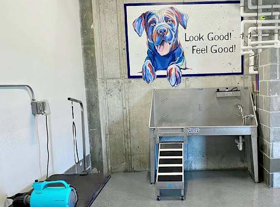 A dog is on a sign that says