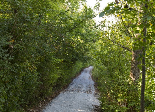 Walking Trails at Aspen Lakes Apartments, Indianapolis, IN, 46217