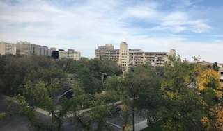 A wide angle shot of the tree line and buildings.