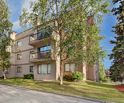 The exterior of the Susitna Ridge Apartment Homes, with tan apartment buildings and grass with trees and the parking lot in the background. 