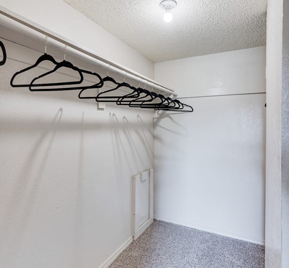 Large Walk-In Closet