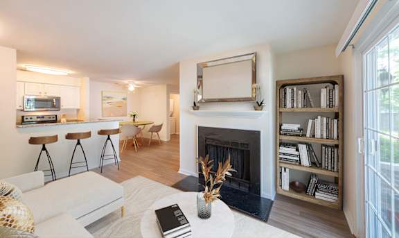 A living room with a fireplace and a bookshelf.