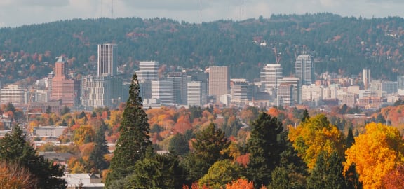 a view of the seattle skyline in the fall