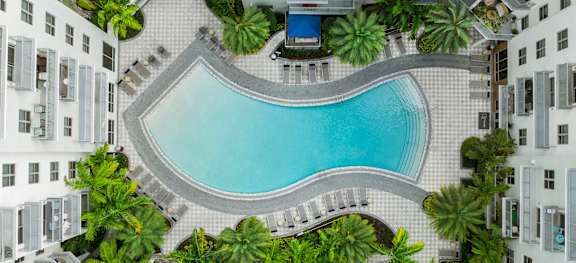 A swimming pool surrounded by palm trees and white buildings.