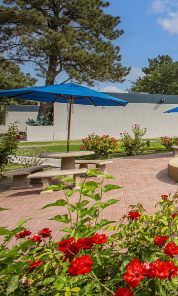 Rose Garden with Seating