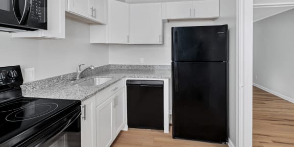 APARTMENT AMENITIES