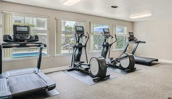 A well-equipped gym with treadmills, exercise bikes, and a bench press.