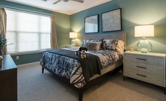 Bedroom With Expansive Windows at Berkshire Ninth Street, Durham, North Carolina