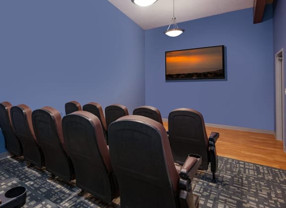 Movie Theatre Room at Blue Agave Villas Apartments