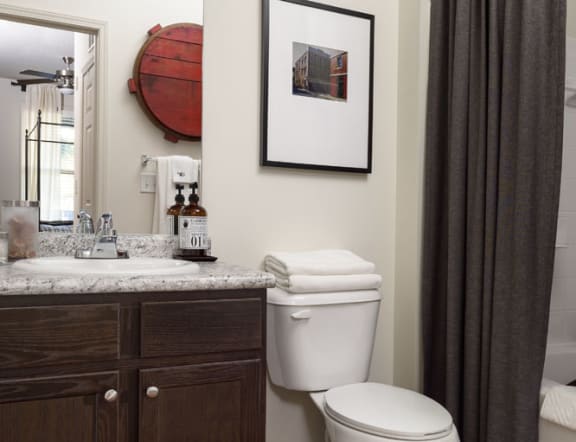 Walton Ridenour Model Bathroom