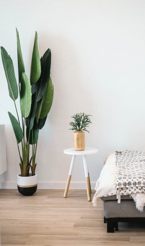 Apartments for Rent St. Boniface 300 Tache Apartment