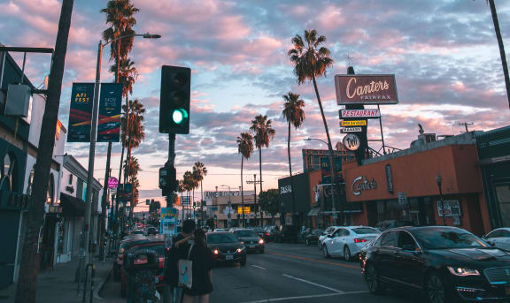 a city street with palm trees and a cloudy sky