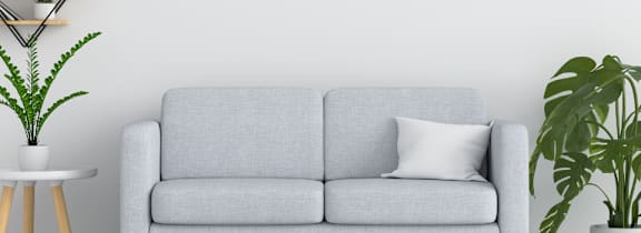 a white living room with a couch and plants