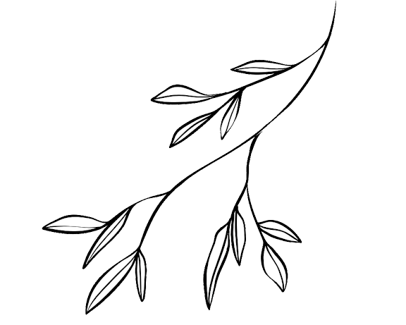 Leaf branch graphic on a white background.