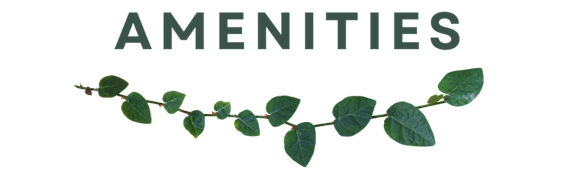 A green leafy branch with the word "amenities" written in white.