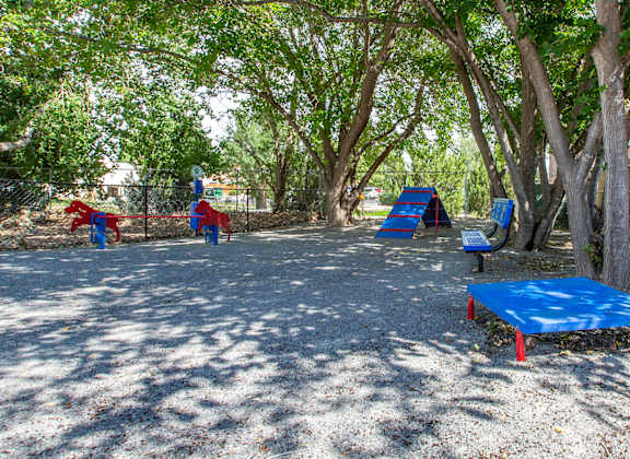 a picnic table and benches in the shade of trees