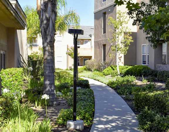 Shady walking paths