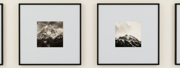 a gallery wall of black and white photos