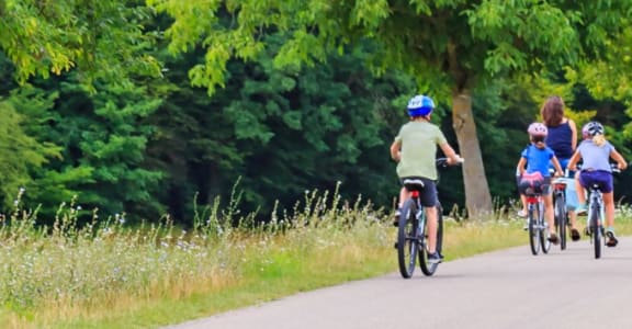 Family Riding Bicycles Down Grassy Path