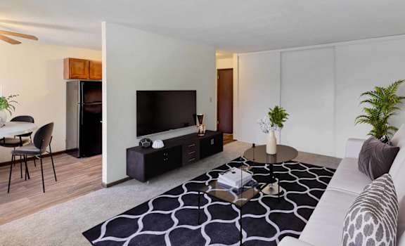 a living room with a white couch and a black and white rug