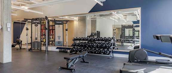 A gym with a row of black dumbbells on a rack.