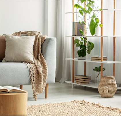 A cozy living room with a grey sofa, wooden side table, and a shelf with plants.