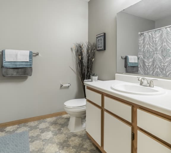 Traditional style bathroom with white cabinets with wooden trim
