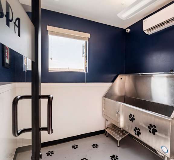 Pet Spa at Park & Kingston, Charlotte, 28203