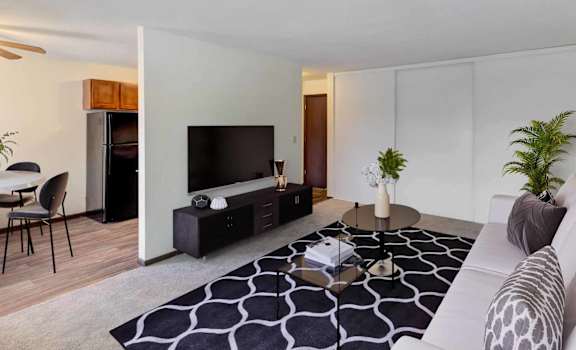 a living room with a white couch and a black and white rug