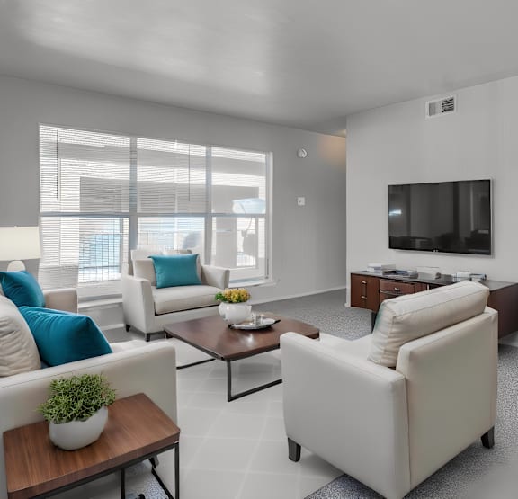 furnished living room