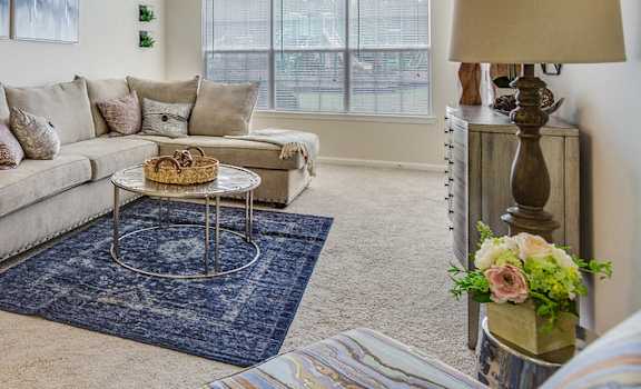  Forest Trail Apartment Homes Northport, AL, Living Room