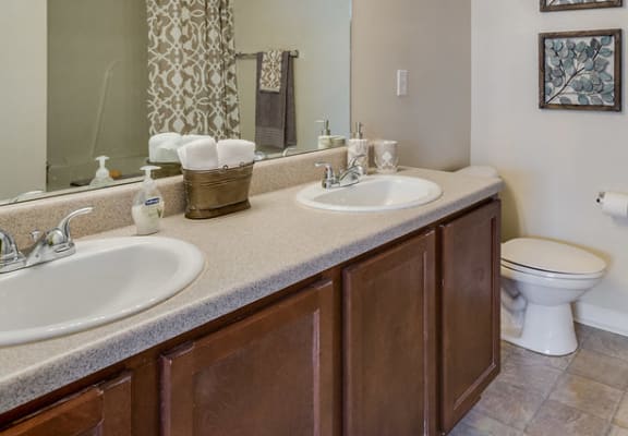 Forest Trail Apartment Homes Northport, AL, Master Bathroom, Double Vanities