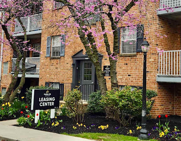 a flowering tree in front of a brick building