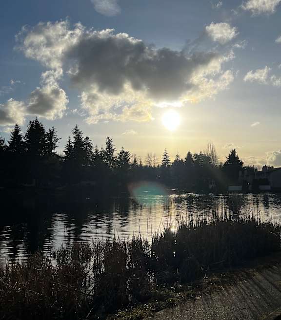 a sunset over a lake with trees and buildings in the background