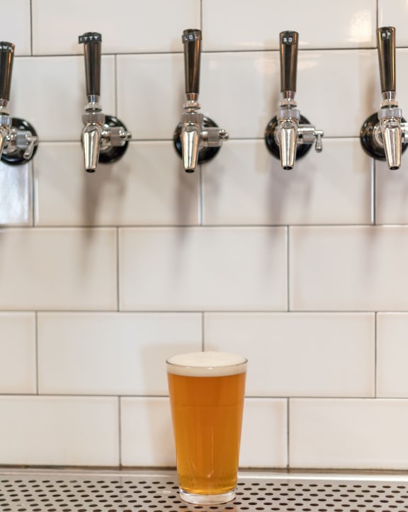 Beer on Tap at Axcess 15 Apartments, Portland OR