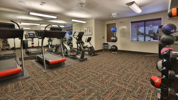 a gym with weights and cardio equipment in a room with a window at Mariposa at Elk Drive, Burleson, TX 76028