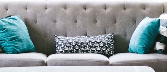 Farmington view living room with gray couch