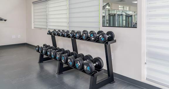 A set of black dumbbells with blue and white writing on them are on a rack in a room. at G17 Apartments at Tamarack, Edmonton, AB