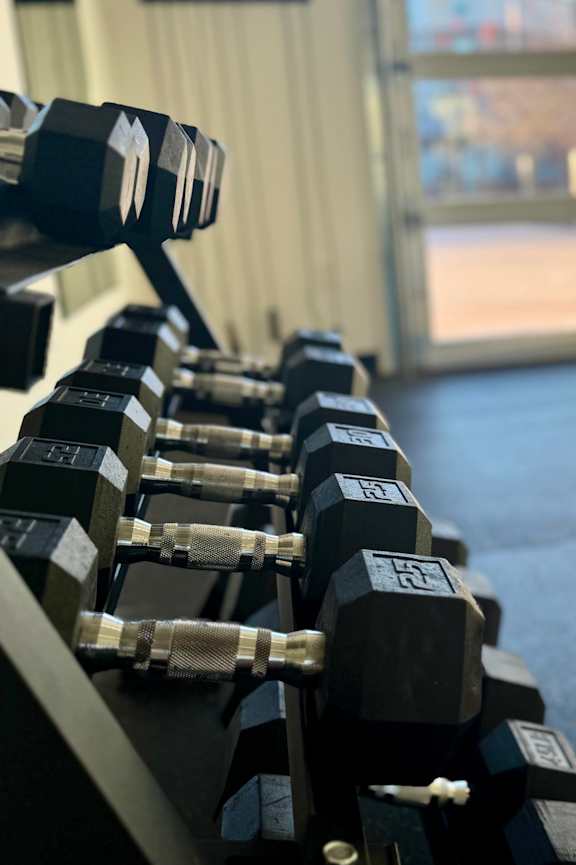 A row of black dumbbells are lined up on a rack in a gym.