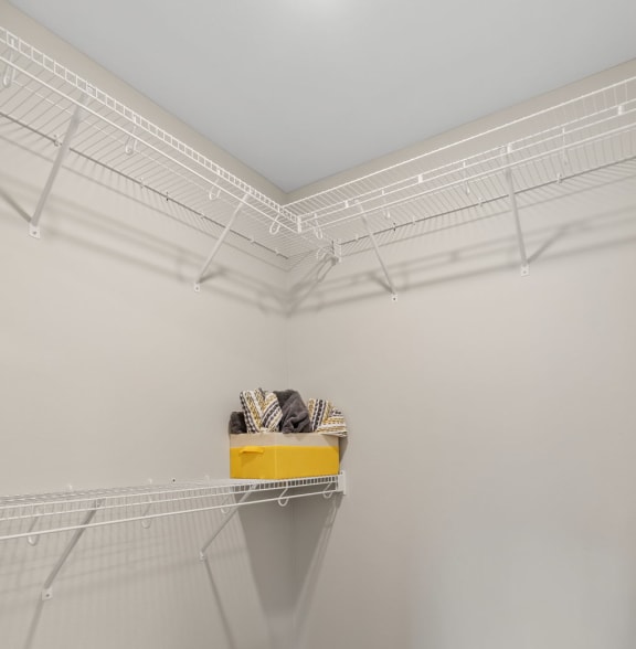 Walk-In Closet With Built-In Shelving