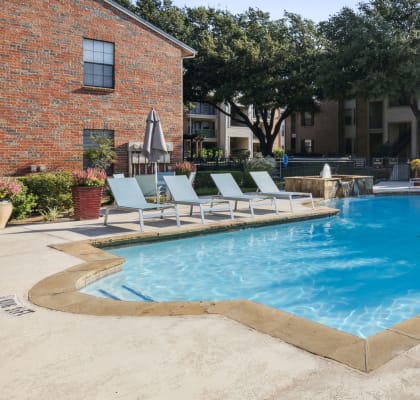 our apartments have a large swimming pool and lounge chairs