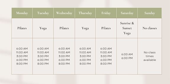 A table showing the schedule of instructor-led fitness classes throughout the week.