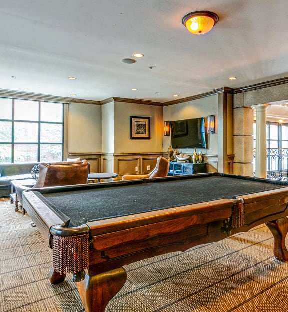 a game room with a pool table and couches