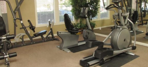 Gym with fitness equipment Tracy Park apartments for rent in Tracy CA