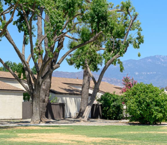 a row of houses with palm trees in the background