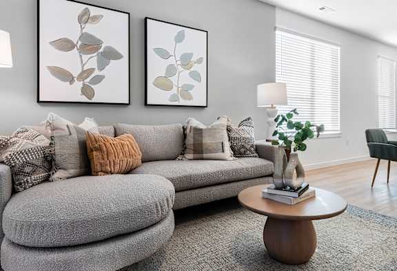 A living room with a grey sofa, a coffee table, and a rug.