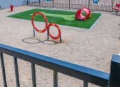Thumbnail 16 of 23 - Fifteen 50 apartments Las Vegas Dog park with red park bench, fire hydrant, and dog play tubes and hoops. Features a large patch of artificial grass.