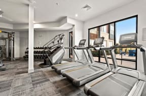 a row of treadmills in a gym with a large window