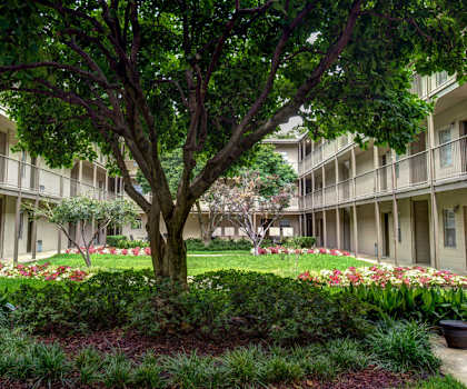 Canterbury Apartment Homes, Tuscaloosa, AL, Courtyard